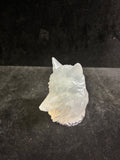 Tête de loup blanche LES MERVEILLES DE SONIA