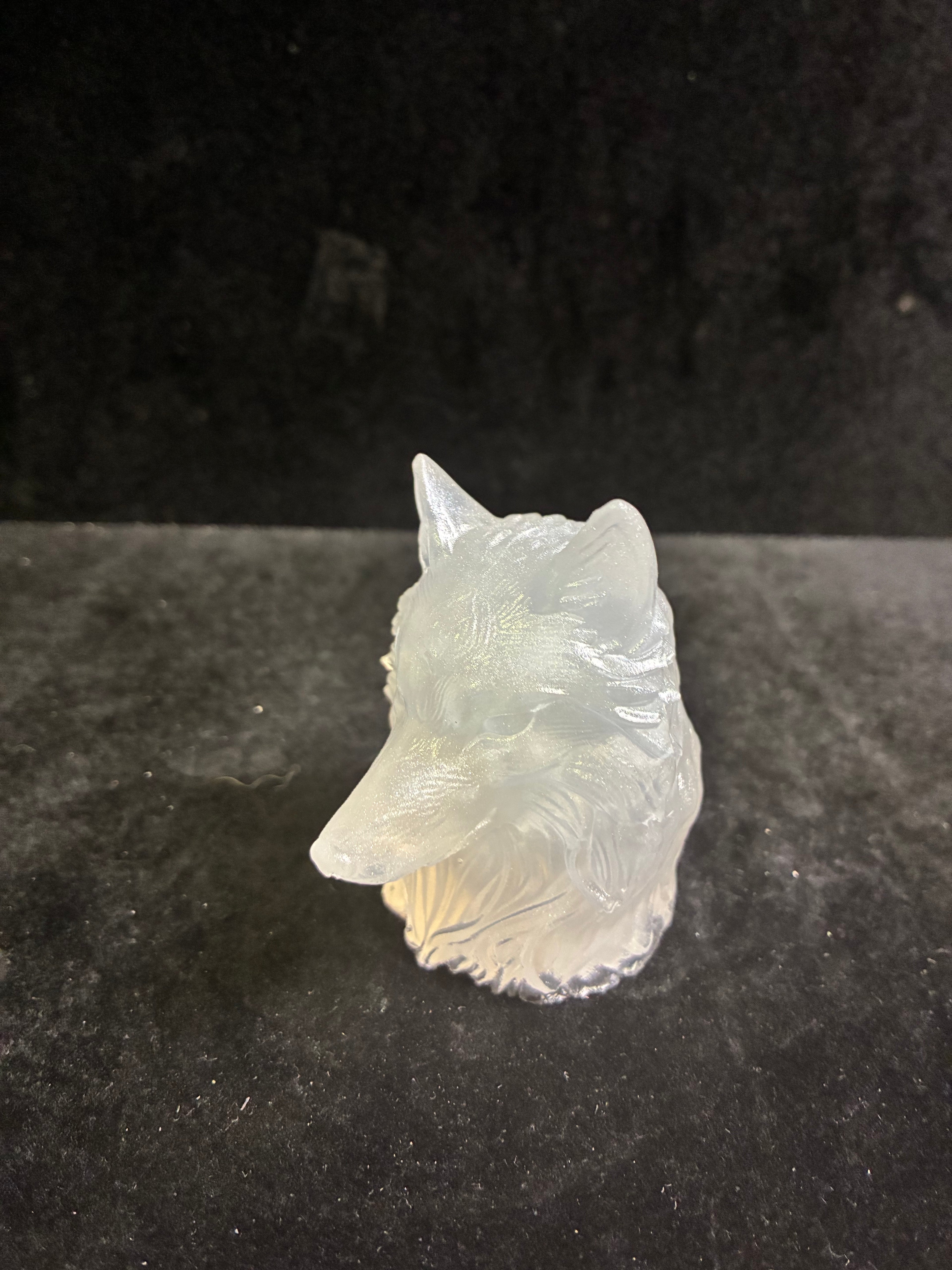 Tête de loup blanche LES MERVEILLES DE SONIA
