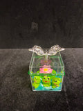 Boîte papillon grenouille LES MERVEILLES DE SONIA