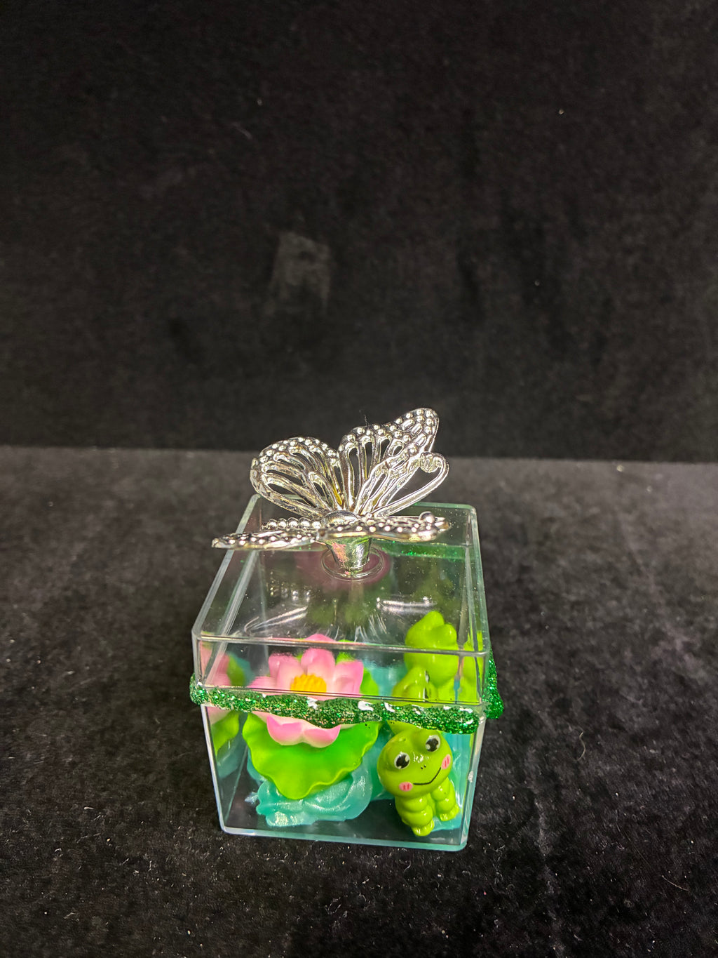 Boîte papillon grenouille LES MERVEILLES DE SONIA