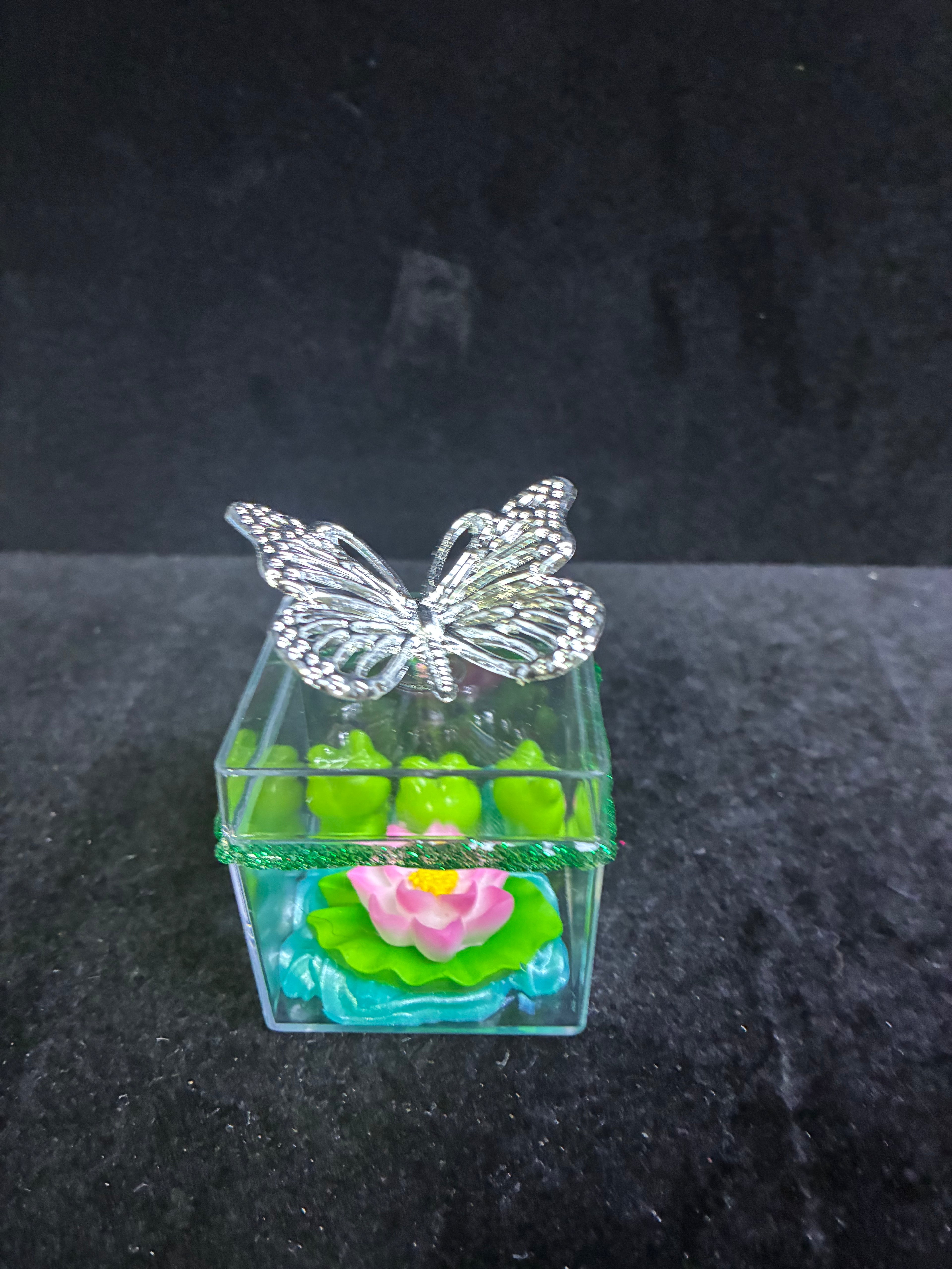 Boîte papillon grenouille LES MERVEILLES DE SONIA
