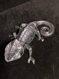 Caméléon gris LES MERVEILLES DE SONIA